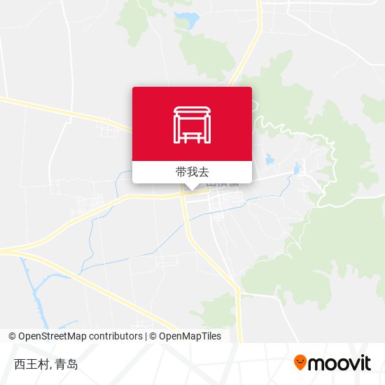 西王村地图