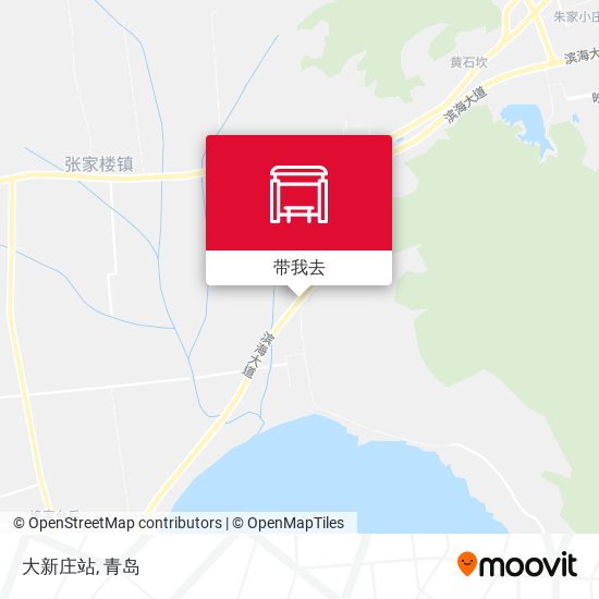 大新庄站地图