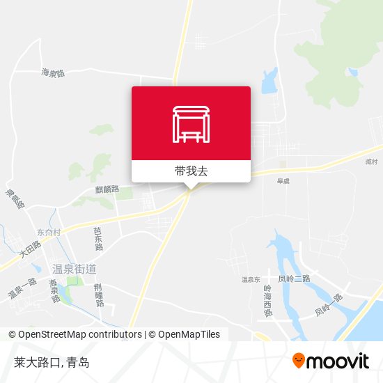 莱大路口地图