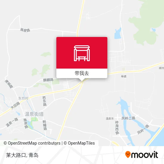 莱大路口地图