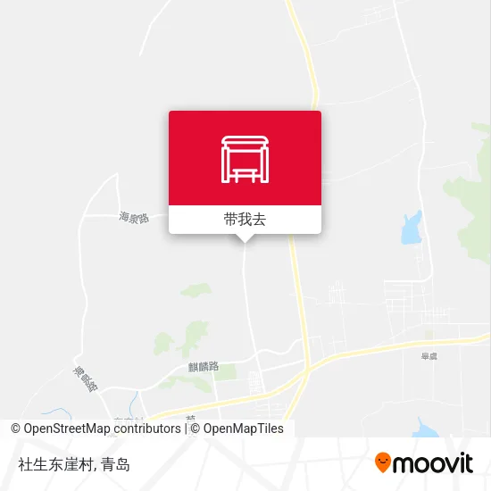 社生东崖村地图