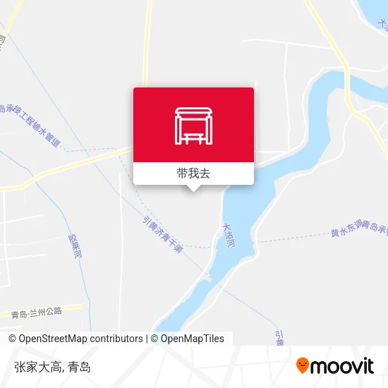 张家大高地图