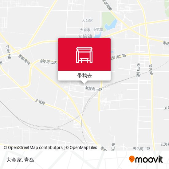 大金家地图