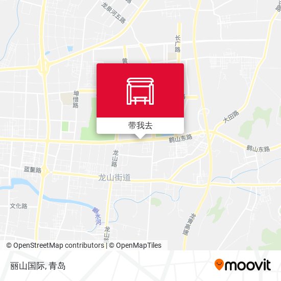 丽山国际地图