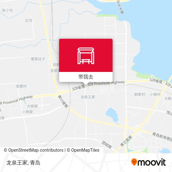 龙泉王家地图