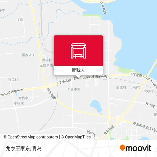 龙泉王家东地图