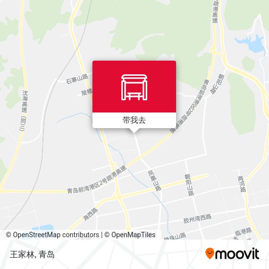王家林地图