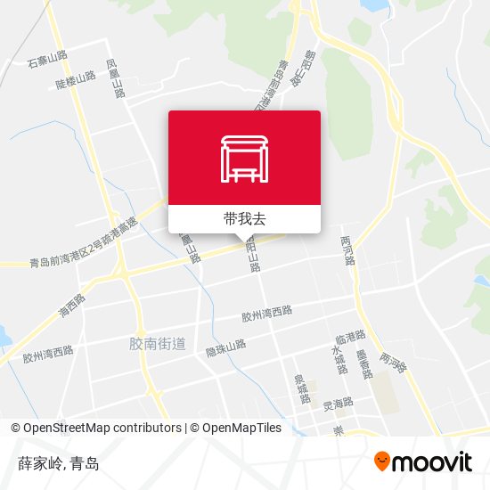薛家岭地图