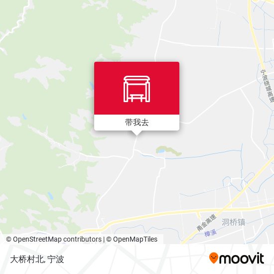 大桥村北地图
