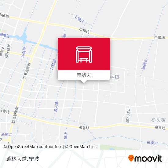 逍林大道地图