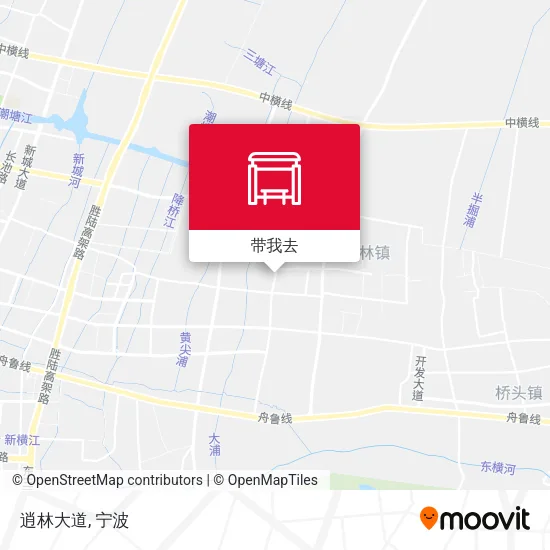 逍林大道地图