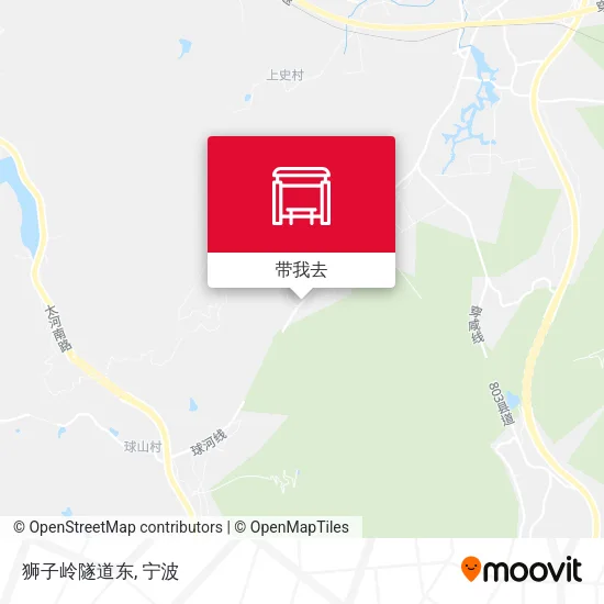 狮子岭隧道东地图