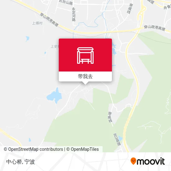 中心桥地图