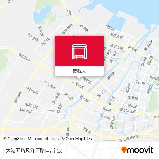 大港五路凤洋三路口地图