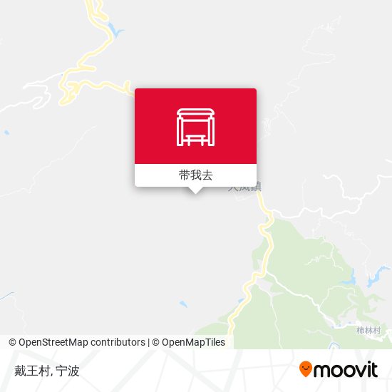 戴王村地图