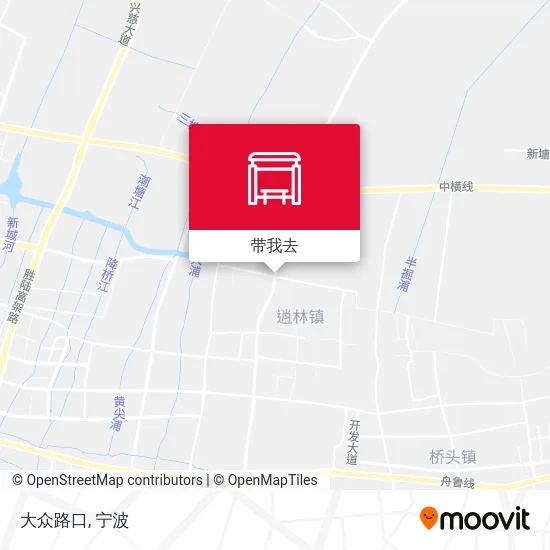 大众路口地图