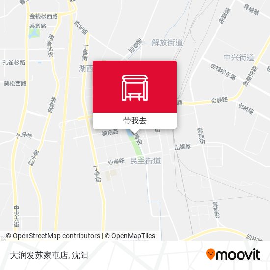大润发苏家屯店地图
