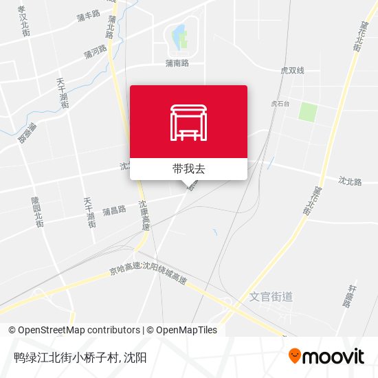 鸭绿江北街小桥子村地图