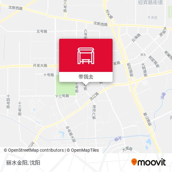 丽水金阳地图