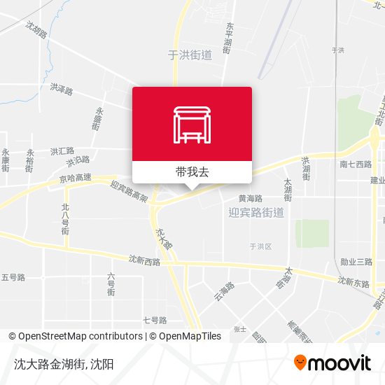 沈大路金湖街地图