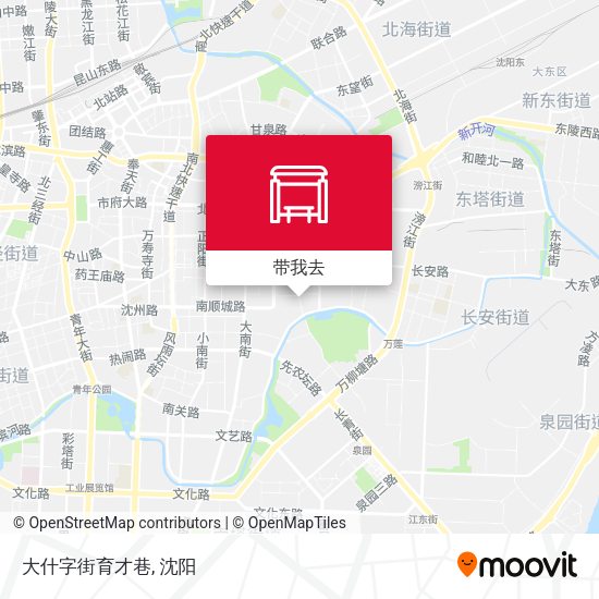 大什字街育才巷地图