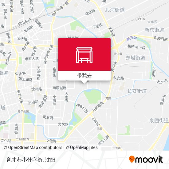 育才巷小什字街地图
