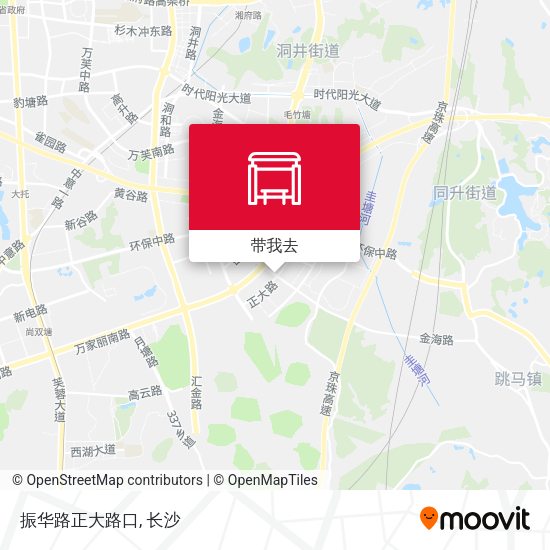 振华路正大路口地图