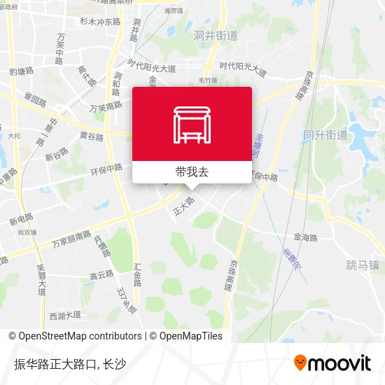振华路正大路口地图