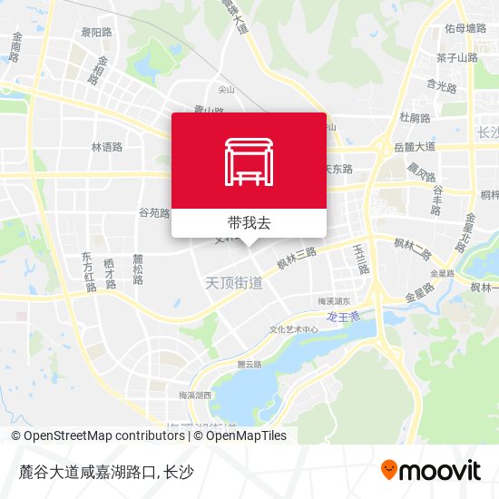麓谷大道咸嘉湖路口地图