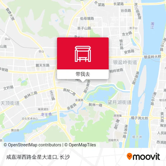 咸嘉湖西路金星大道口地图
