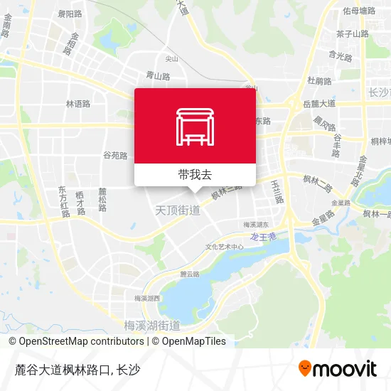 麓谷大道枫林路口地图