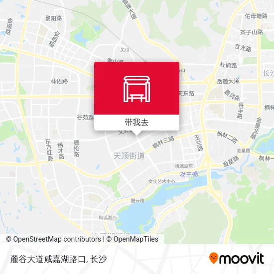麓谷大道咸嘉湖路口地图