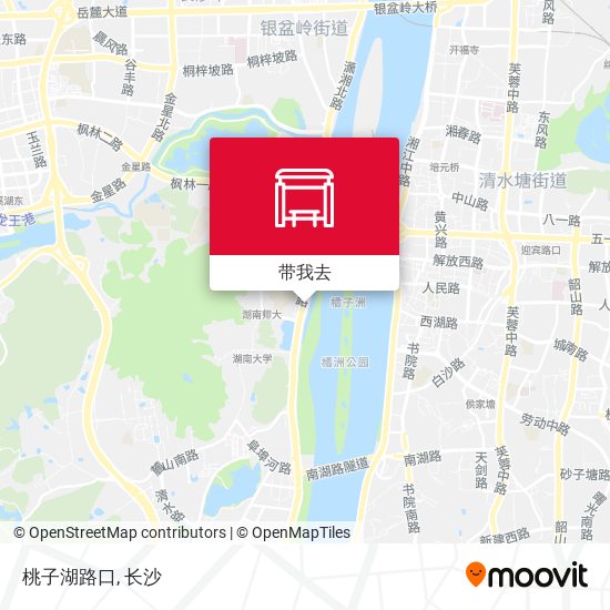 桃子湖路口地图
