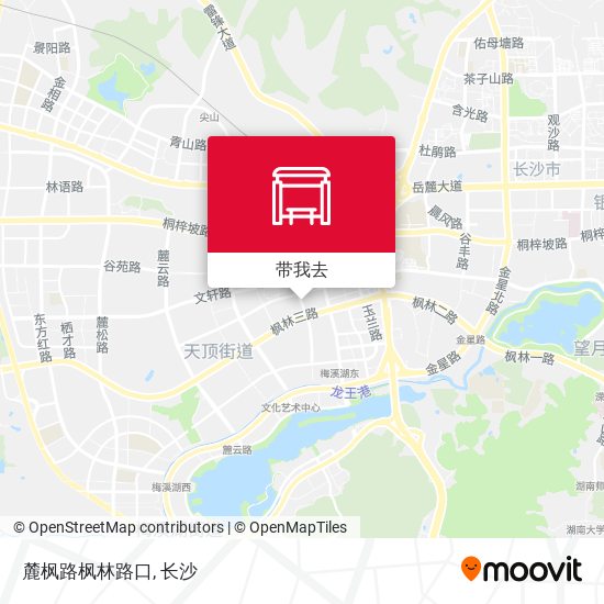 麓枫路枫林路口地图