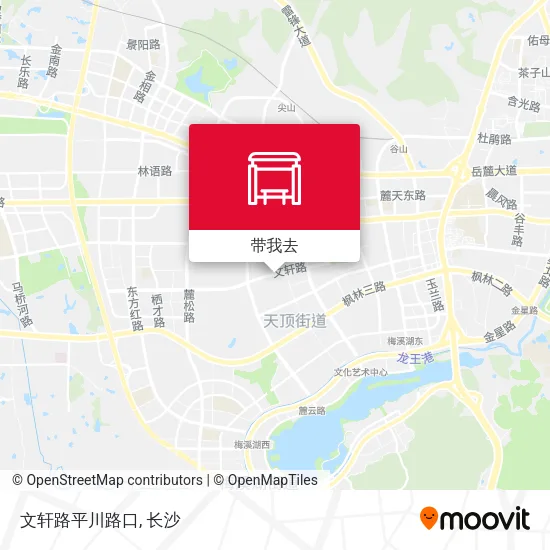 文轩路平川路口地图