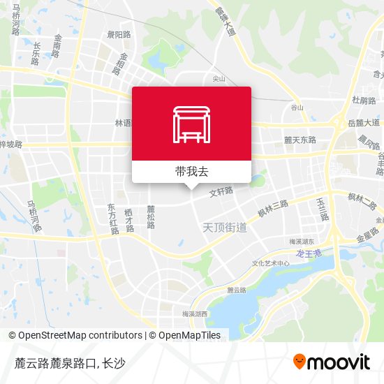 麓云路麓泉路口地图