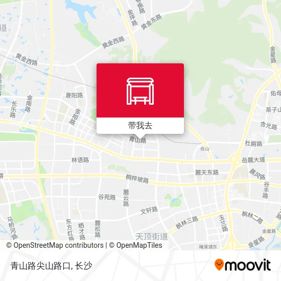 青山路尖山路口地图