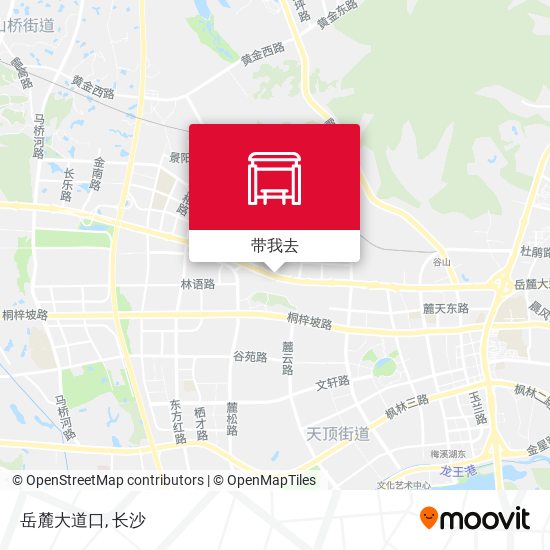 岳麓大道口地图