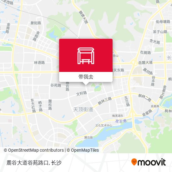 麓谷大道谷苑路口地图