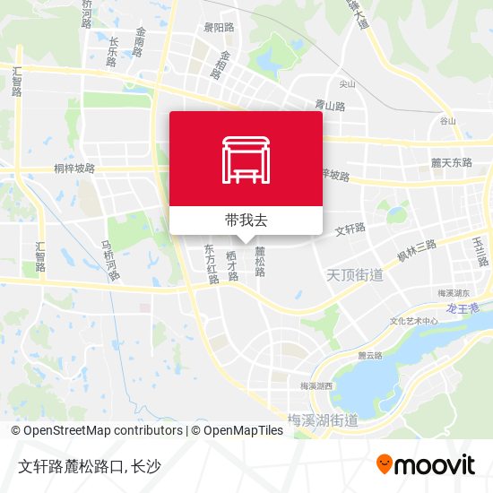 文轩路麓松路口地图