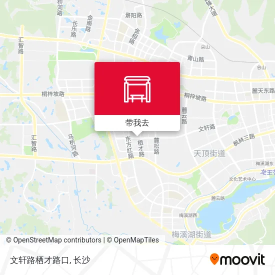 文轩路栖才路口地图