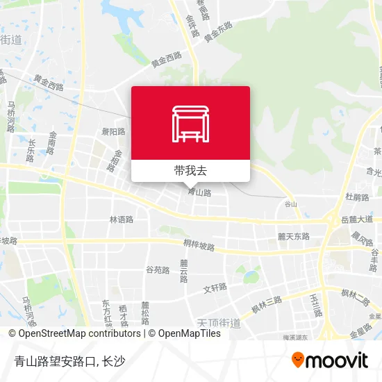 青山路望安路口地图