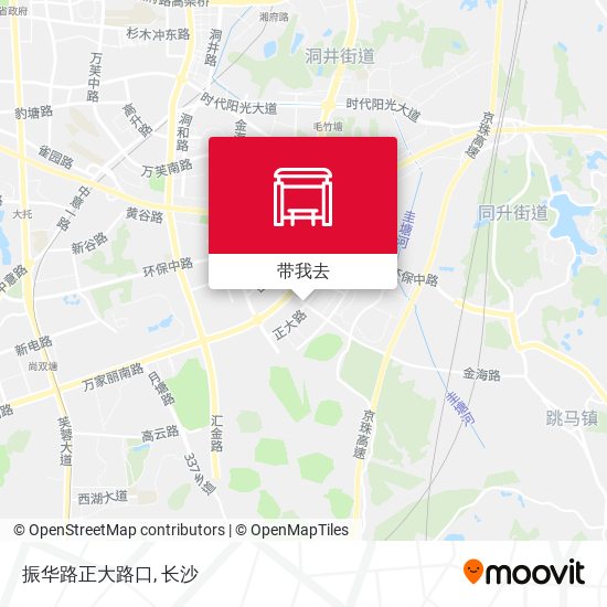 振华路正大路口地图