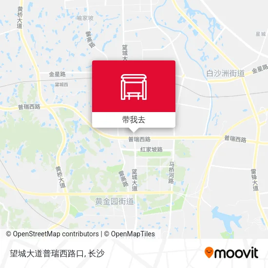 望城大道普瑞西路口地图