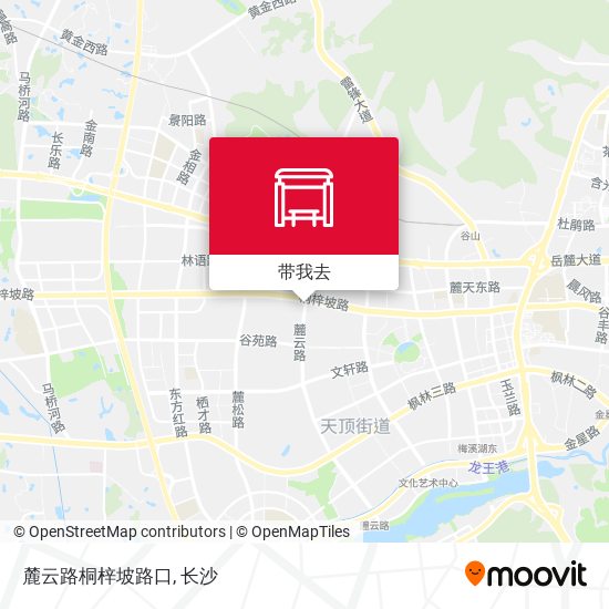 麓云路桐梓坡路口地图