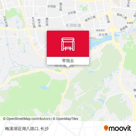 梅溪湖近湖八路口地图