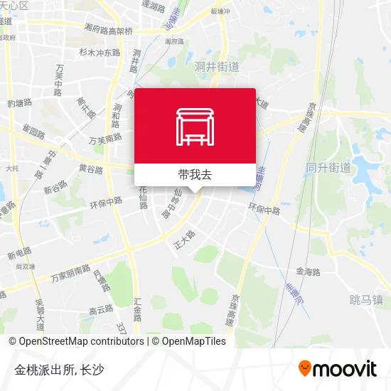 金桃派出所地图