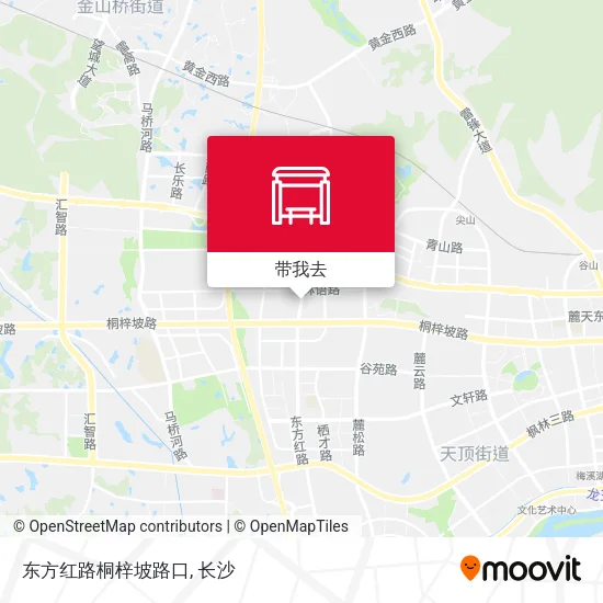 东方红路桐梓坡路口地图