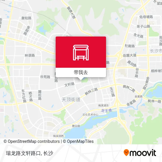 瑞龙路文轩路口地图