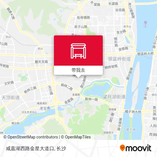 咸嘉湖西路金星大道口地图